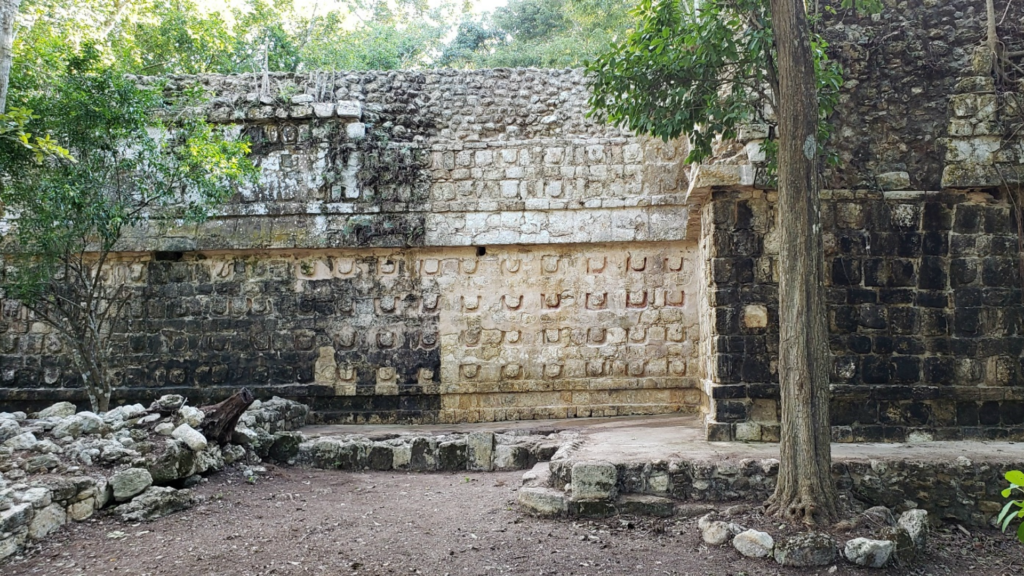 Sorprendente descubrimiento de palacio Maya