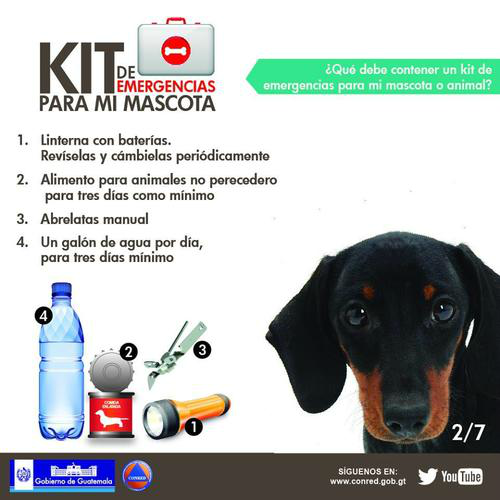 Tus mascotas también son parte del Macrosimulacro