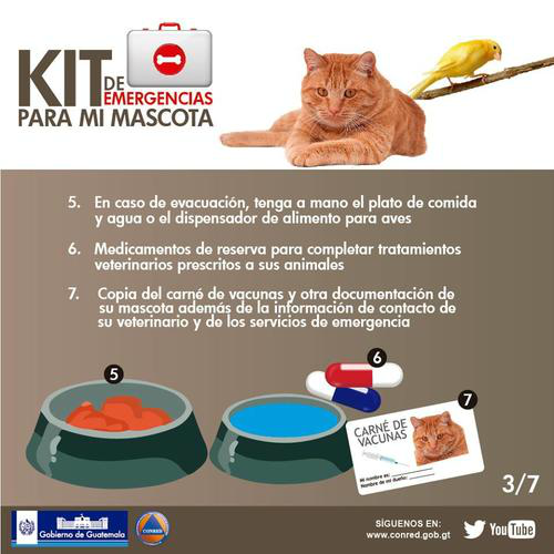 Tus mascotas también son parte del Macrosimulacro