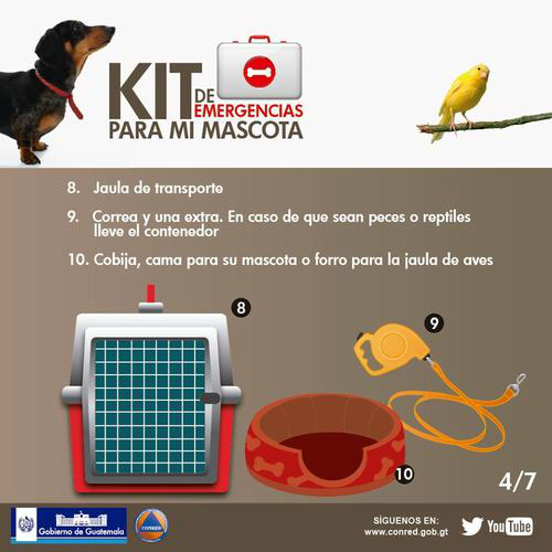 Tus mascotas también son parte del Macrosimulacro