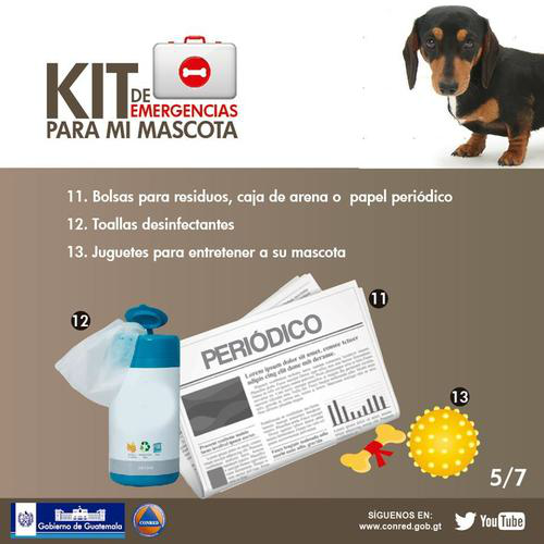 Tus mascotas también son parte del Macrosimulacro