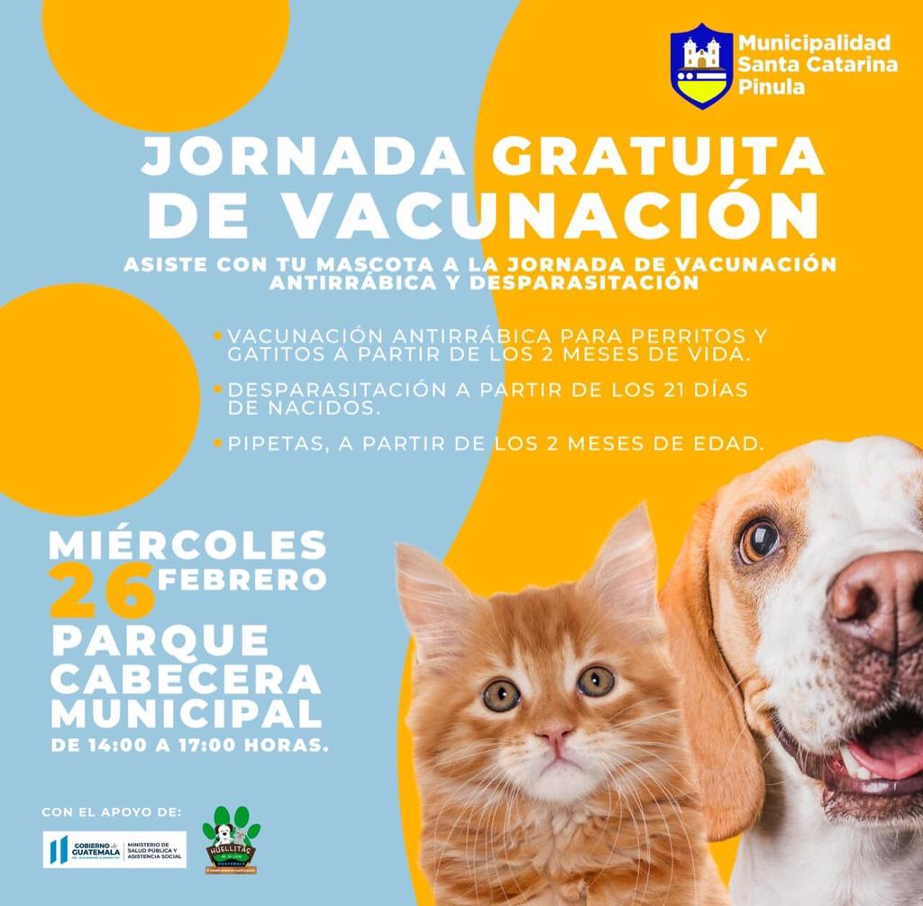 Jornada de vacunación para tus mascotas