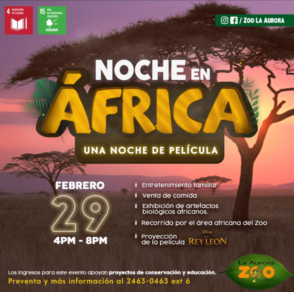 Vive una noche de película junto a tu familia