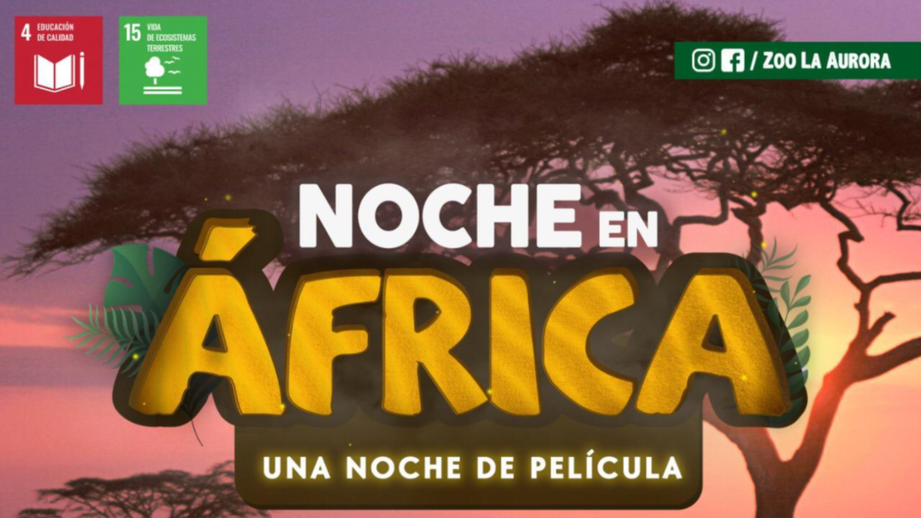 Vive una noche de película junto a tu familia