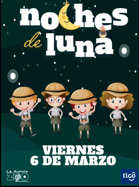 Una noche de alegría y color en el zoo