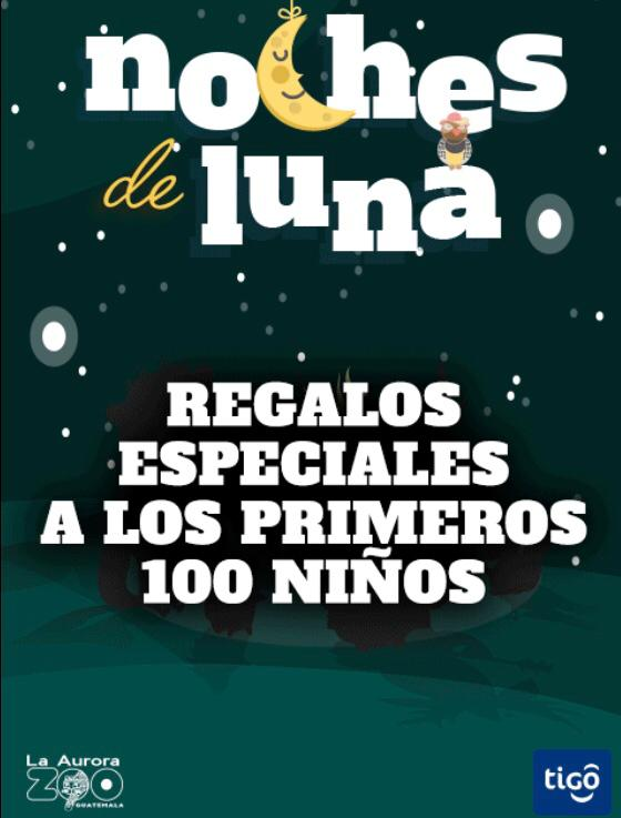Una noche de alegría y color en el zoo