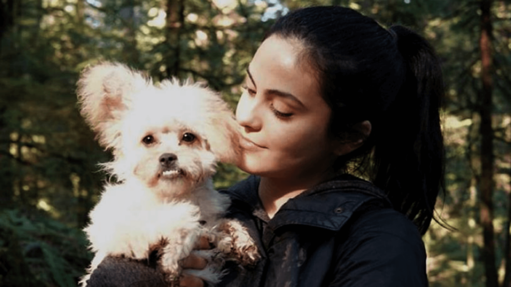 Famosos brindan hogar temporal a mascotas