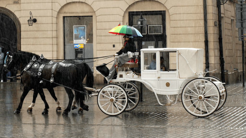 Carruajes tirados por caballos entregan comida