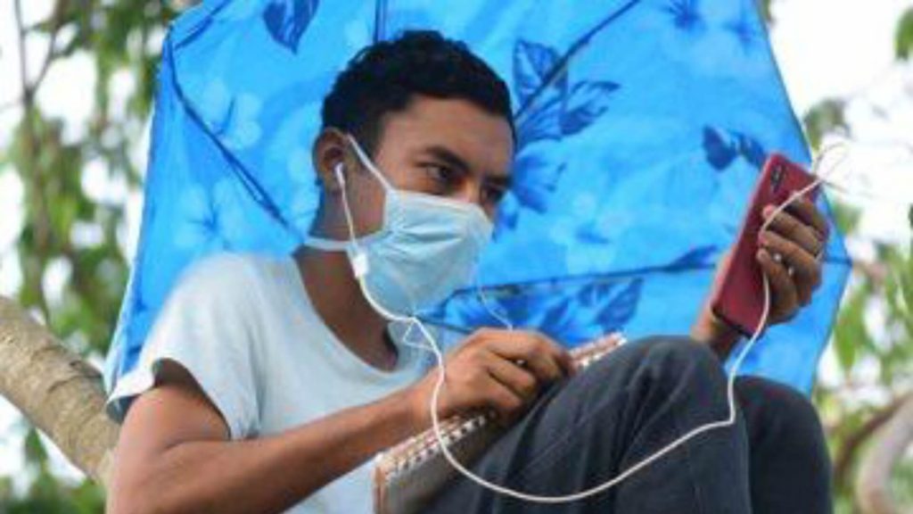 Joven salvadoreño estudia desde un árbol