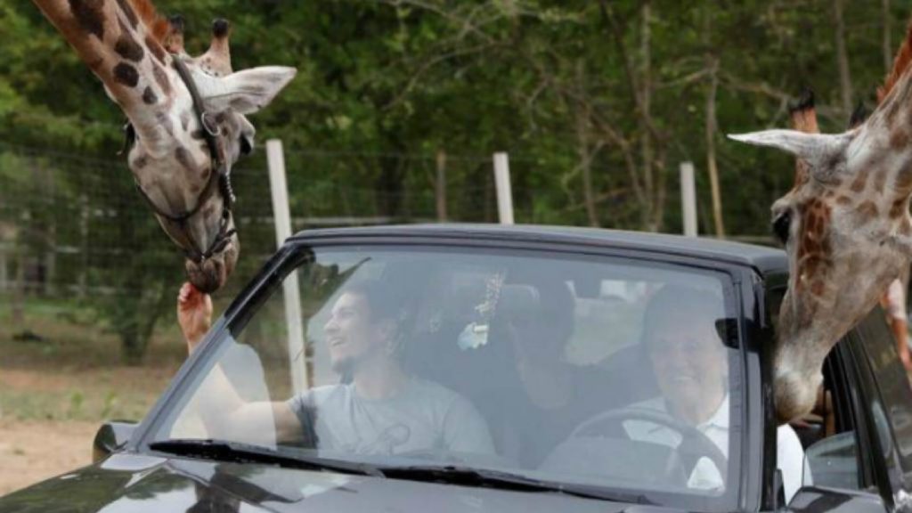 Circo combate el virus volviéndose un parque de animales