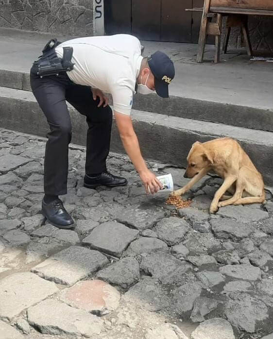 PNC lleva alimento a perros y palomas de Xela