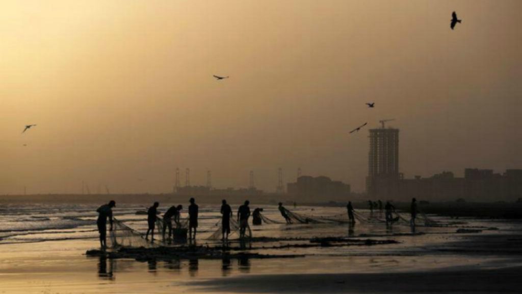 Aves migratorias se reúnen en Pakistán