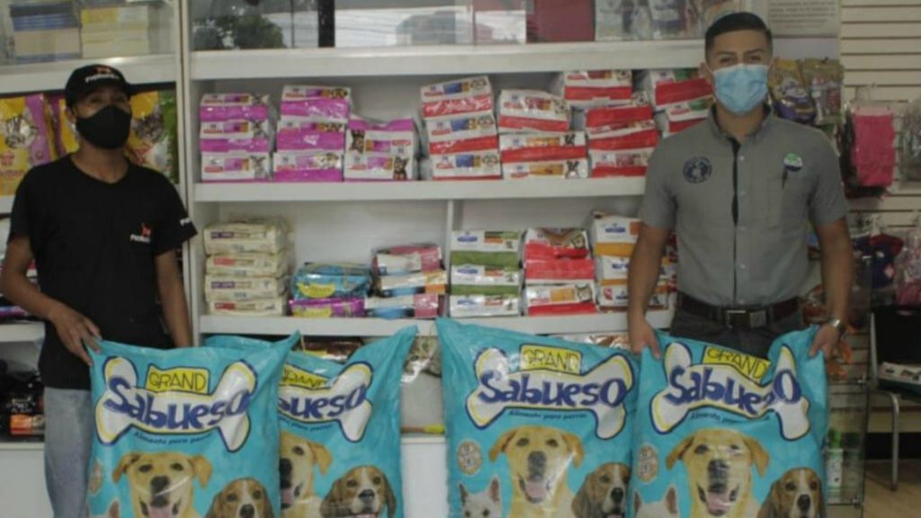 Areca y el MAGA llevan ayuda a veterinarias y albergues