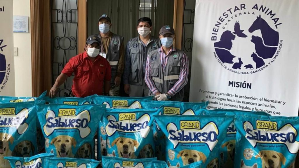 Donación para amigos peludos gracias a ARECA