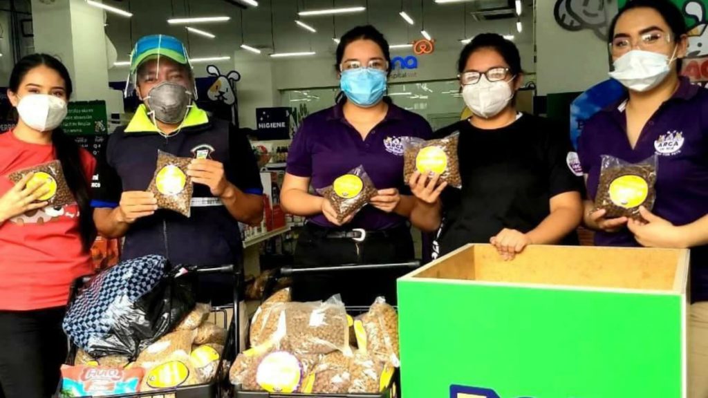 Arca de Noé lleva ayuda a albergue de mascotas de Mixco