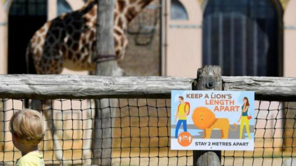 Zoológico de Londres reabre al público con restricciones