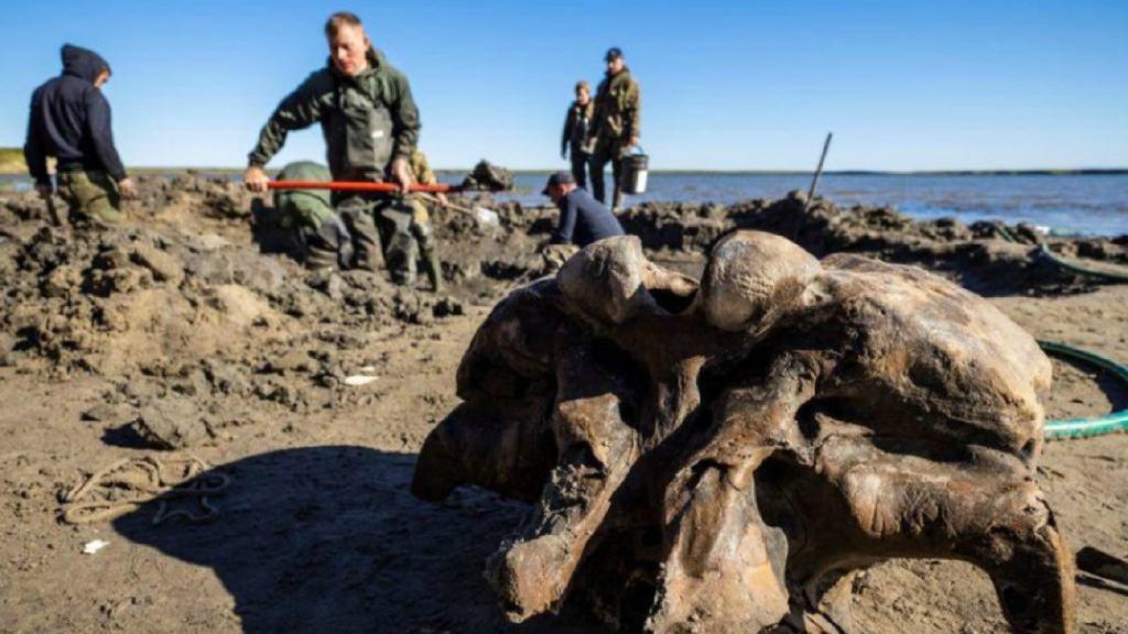 Esqueleto de mamut es encontrado en el lago del Ártico