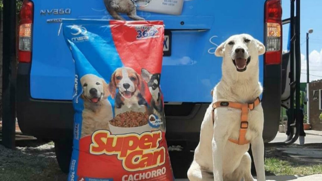 Albergue Municipal de mascotas recibe donación