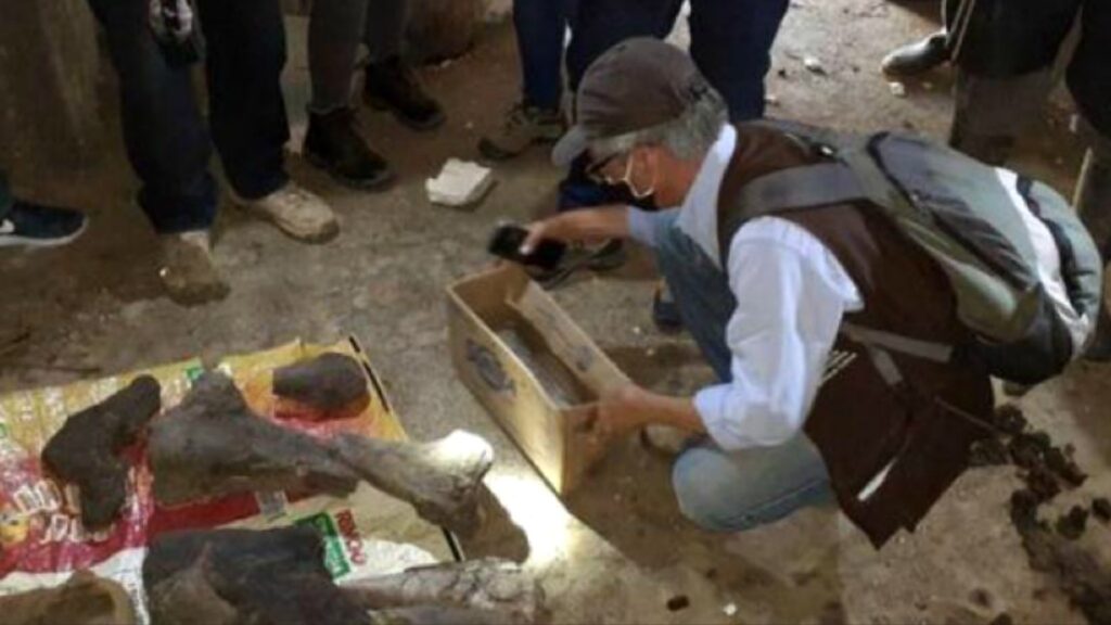 Mineros de oro encuentran tesoro inesperado