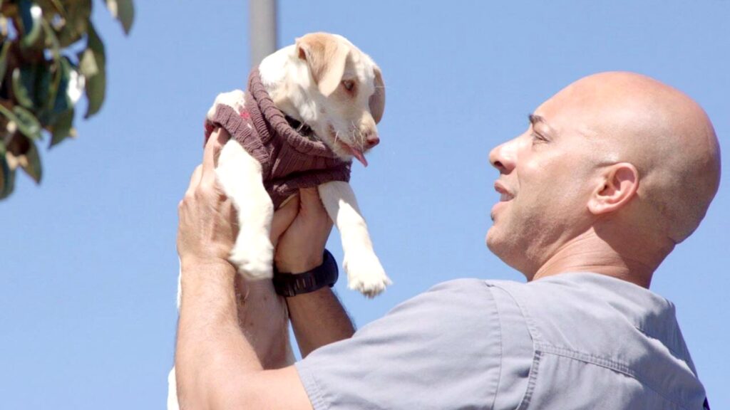 Kwane Stewart un veterinario con un gran corazón