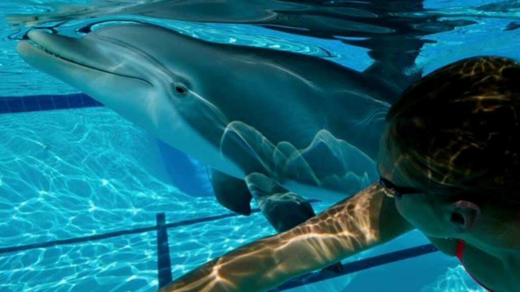 Edge Innovations lanza a la piscina a un delfín robot