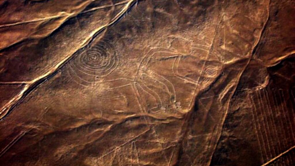 Figura de felino, es hallada en líneas de Nasca de Perú