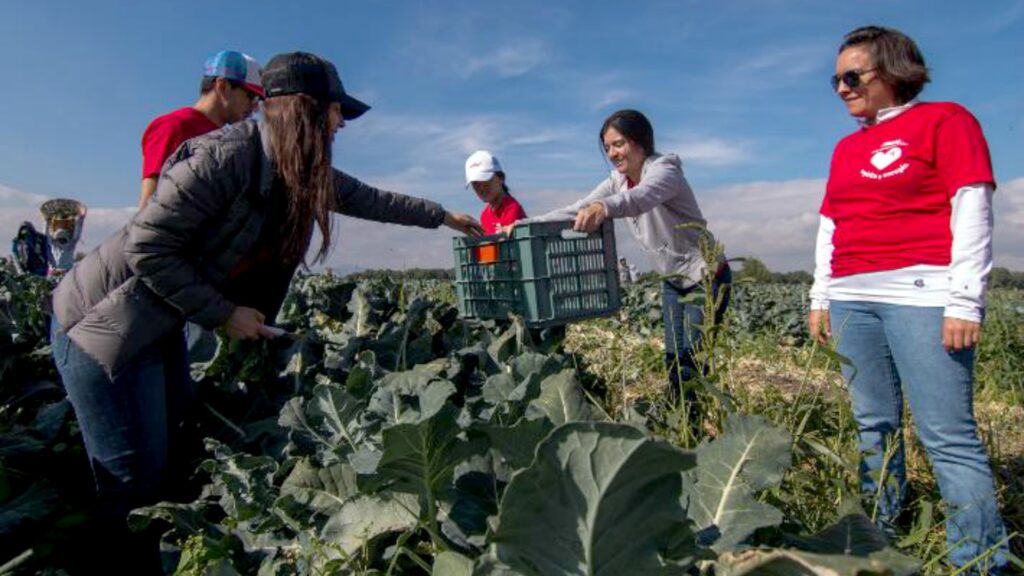 Kellogg’s se suma al compromiso para combatir el hambre
