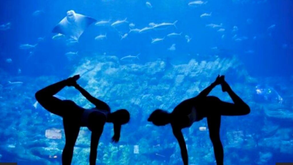 Acuario Ocean Park de Hong Kong ofrece sesiones de yoga