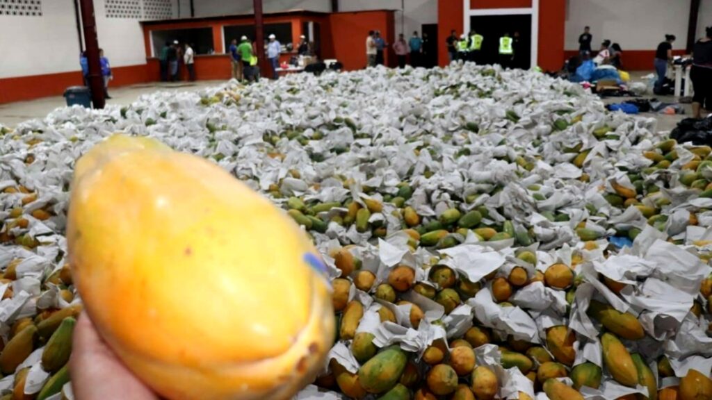 Valle Alto entrega donación de cajas de papayas