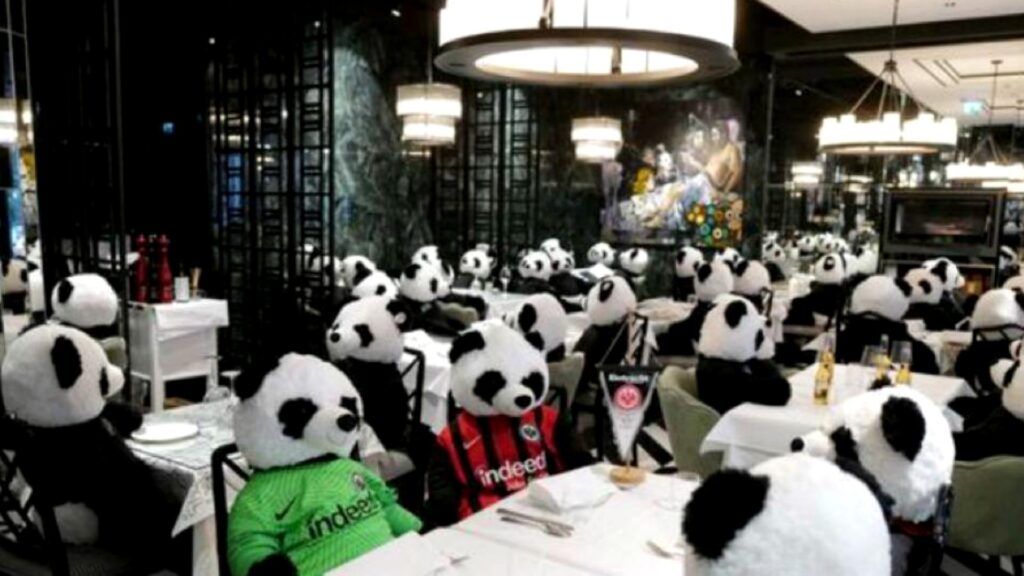 Restaurante soporta la pandemia con clientes peludos