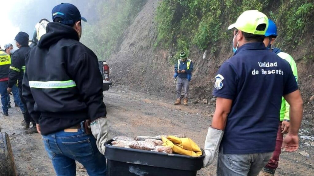 Albergue de mascotas lleva alimento a las áreas afectadas