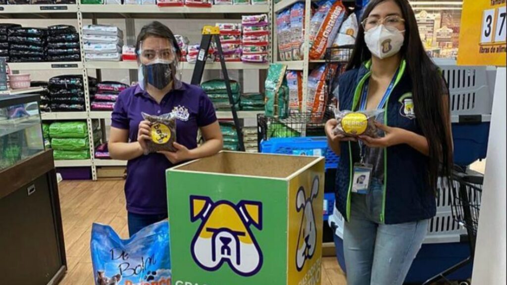 Arca de Noé continua llevando ayuda a amigos peludos