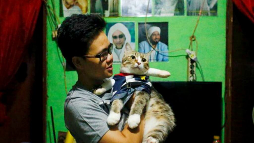 Indonesios visten a sus gatos a la moda