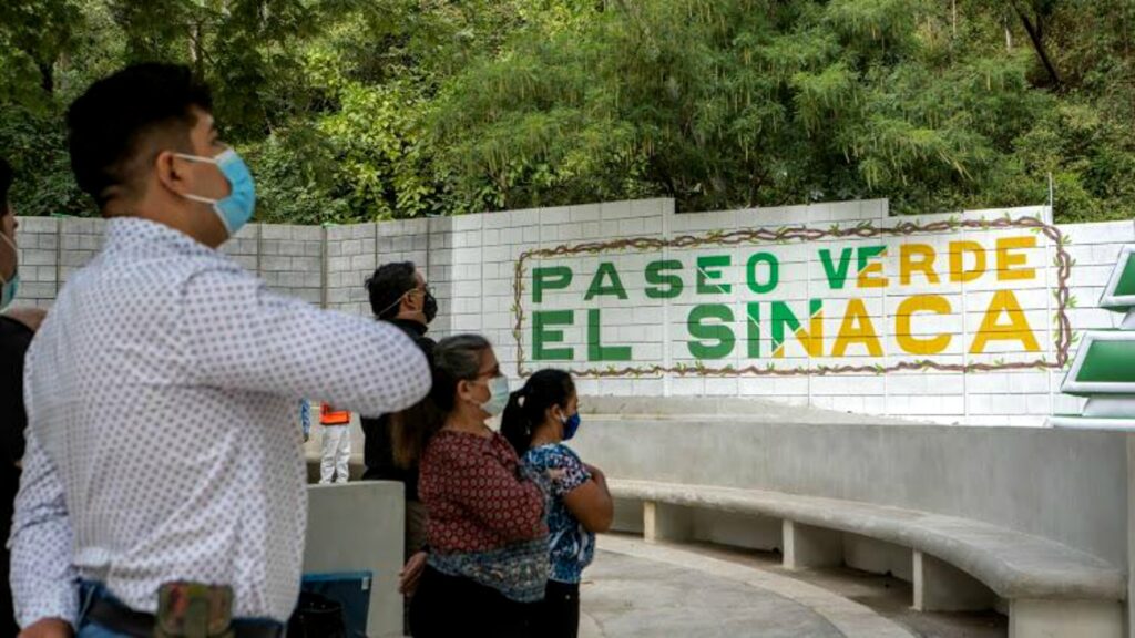 Paseo Verde resultado de unión y trabajo en equipo