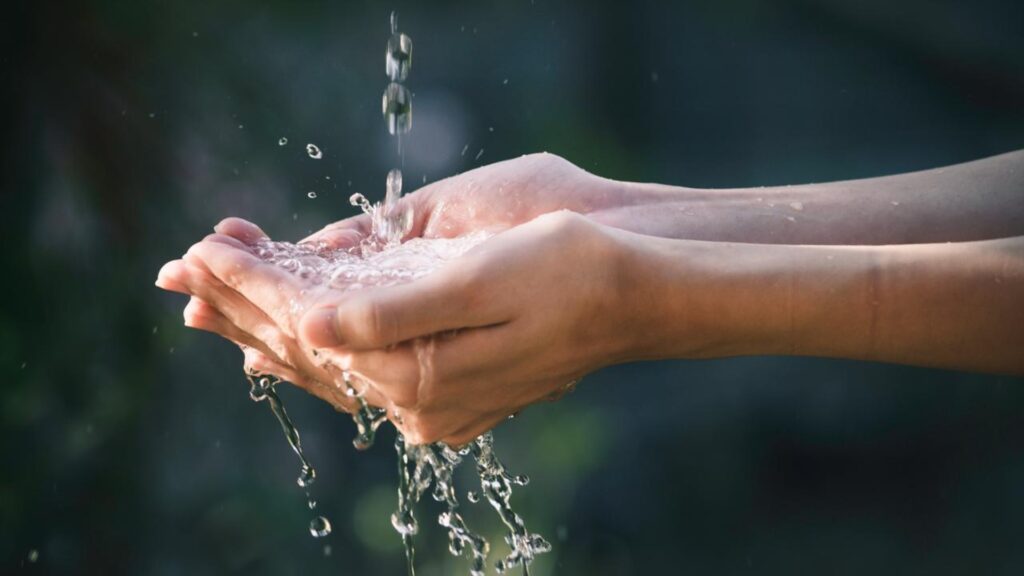 El cuidado del agua, un compromiso de Nestlé