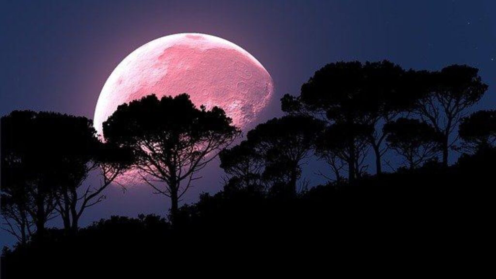 Descubre la ultima Superluna del año 2021