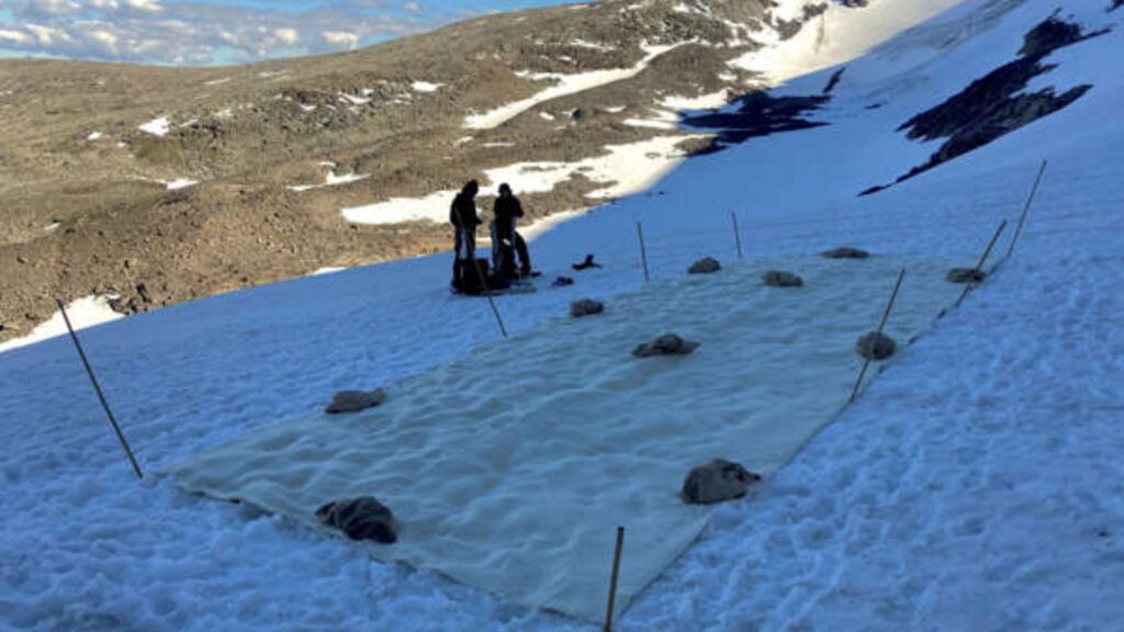 Sábana de tela ayuda a proteger glaciar sueco