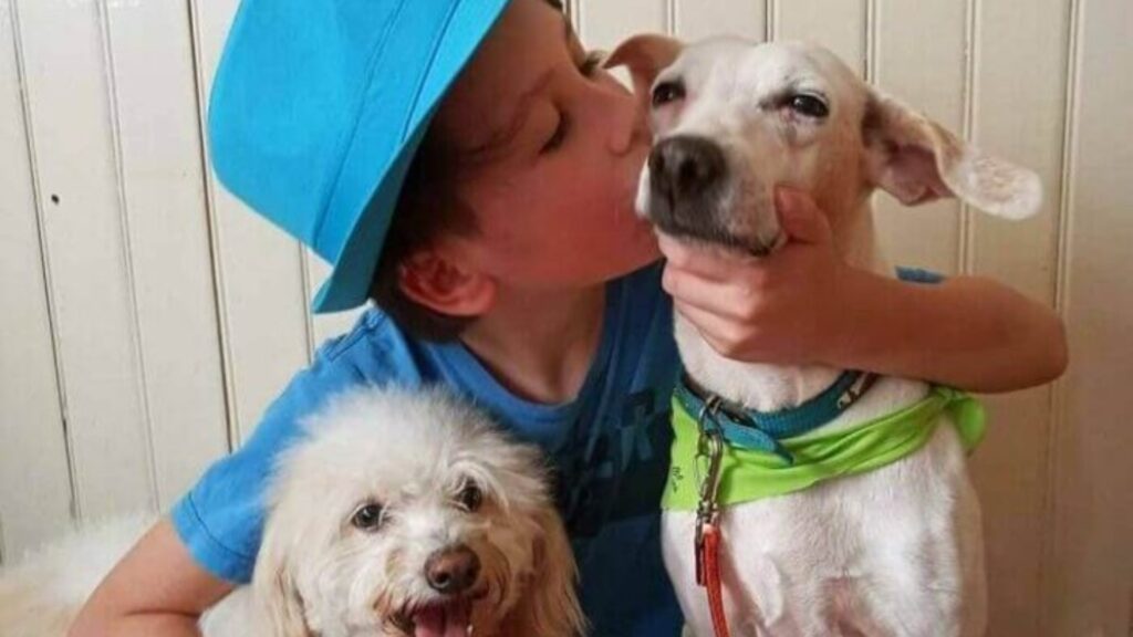 Niño baña a perritos callejeros para ayudarles a encontrar un hogar