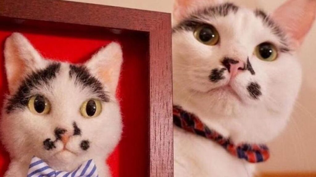 Artista japonesa crea gatos de fieltro hiperrealistas