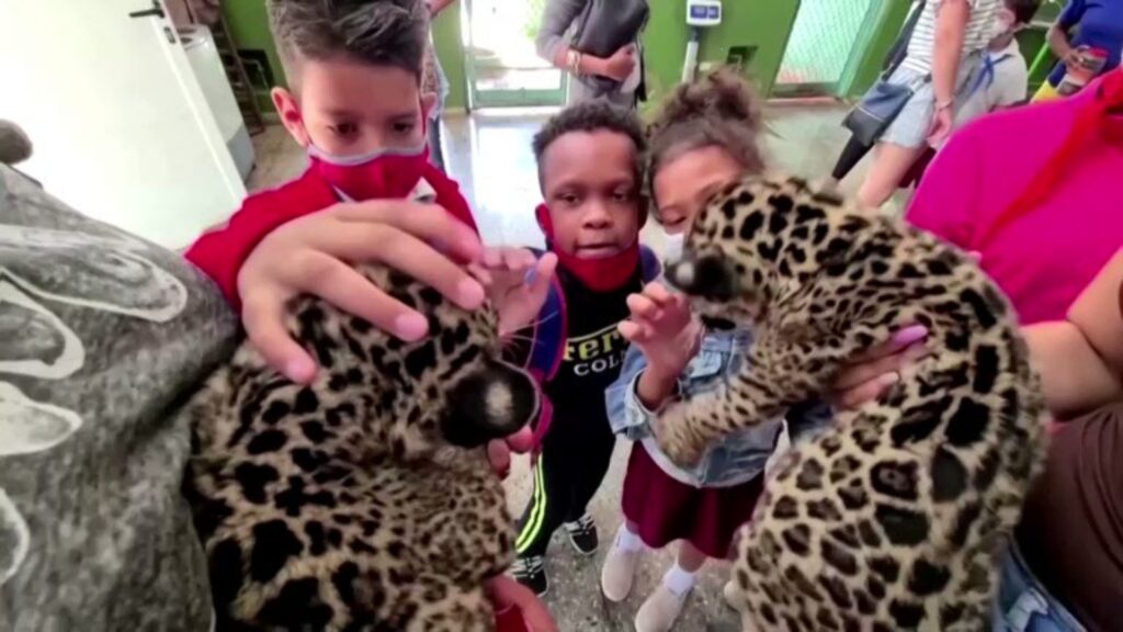 Jaguares y serpientes ayudan a niños cubanos con necesidades especiales