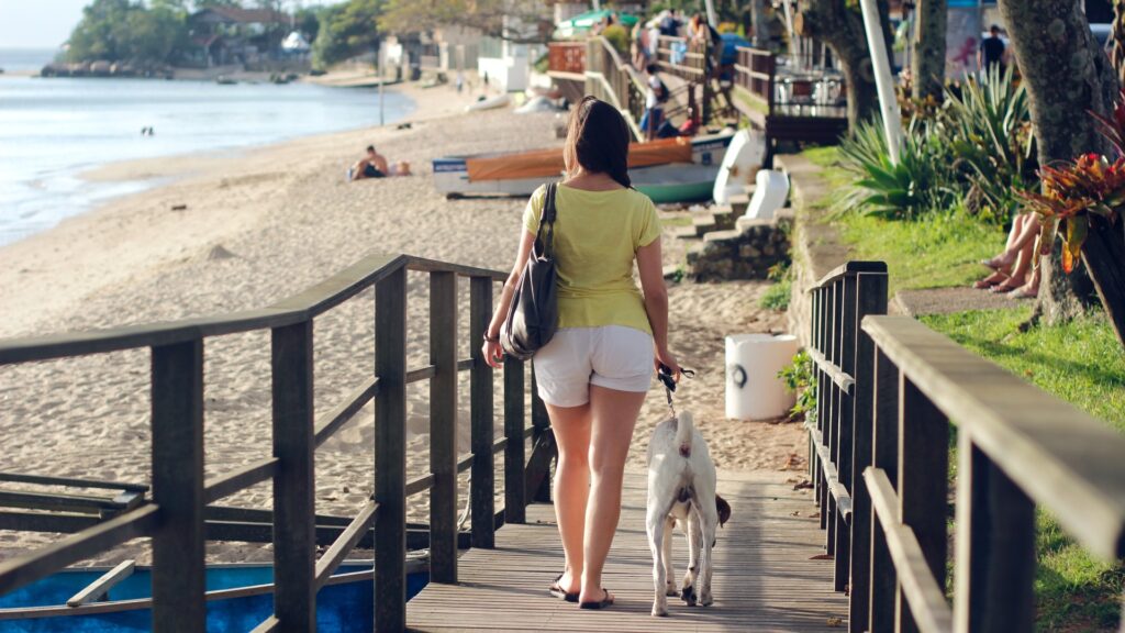 ¿Cómo limpiar las patas de mi perro al regresar de la calle?