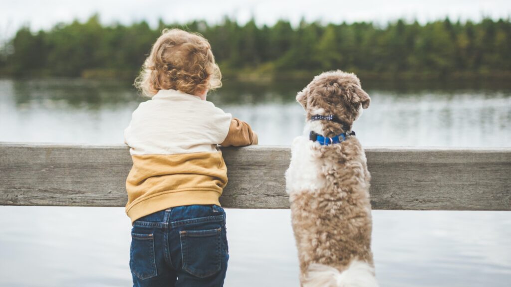 Beneficios de tener un amigo peludo en casa