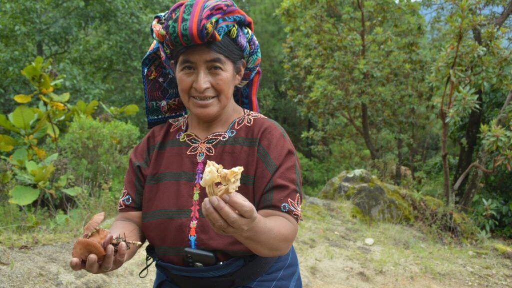 INAB reconoce la importante labor de los pueblos indígenas en la protección de los bosques