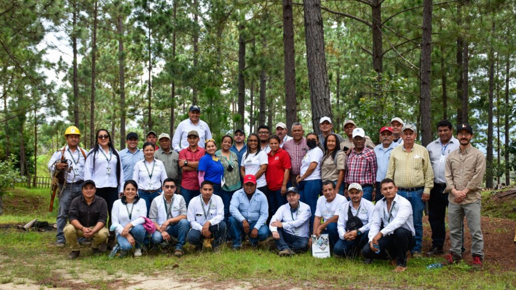 Guatemala trabaja por el mejoramiento de sus recursos genéticos forestales