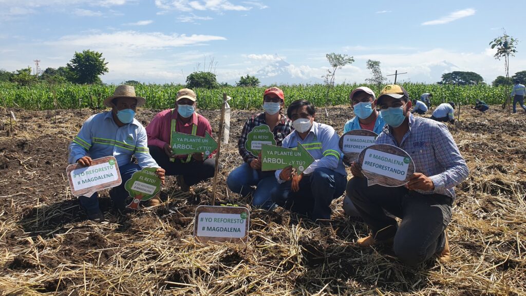 Ingenio Magdalena realiza distintas jornadas de reforestación en Guatemala