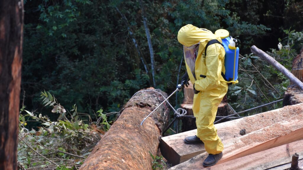 INAB trabaja para prevenir las plagas e incendios forestales