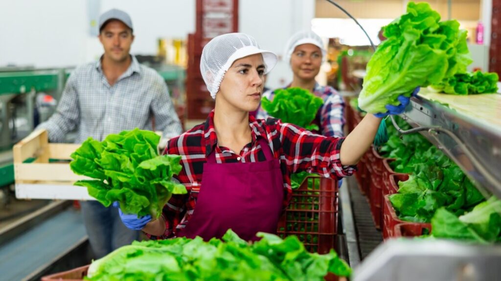 Más de 75 mil empleos serán generados con el apoyo del BCIE