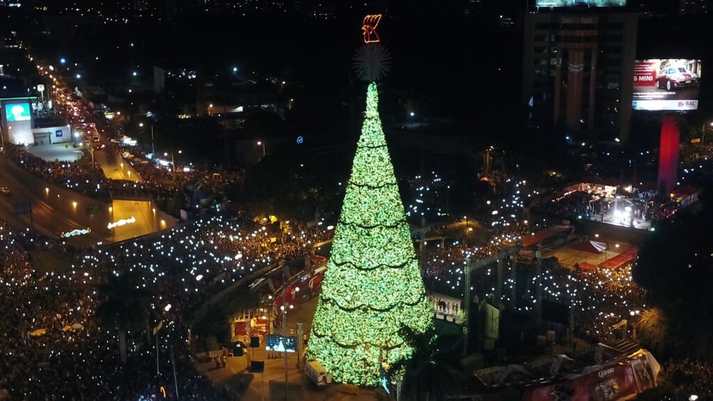 “Enciende lo mejor de ti” este 19 de noviembre junto al Festival Árbol Gallo