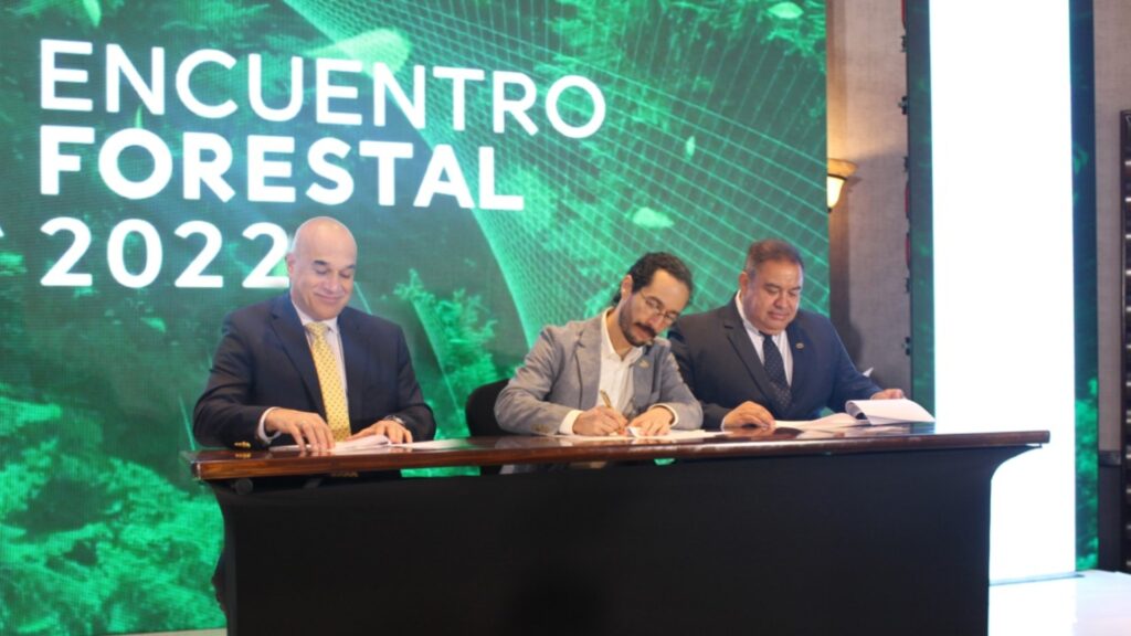 Sector forestal busca alcanzar su máximo potencial