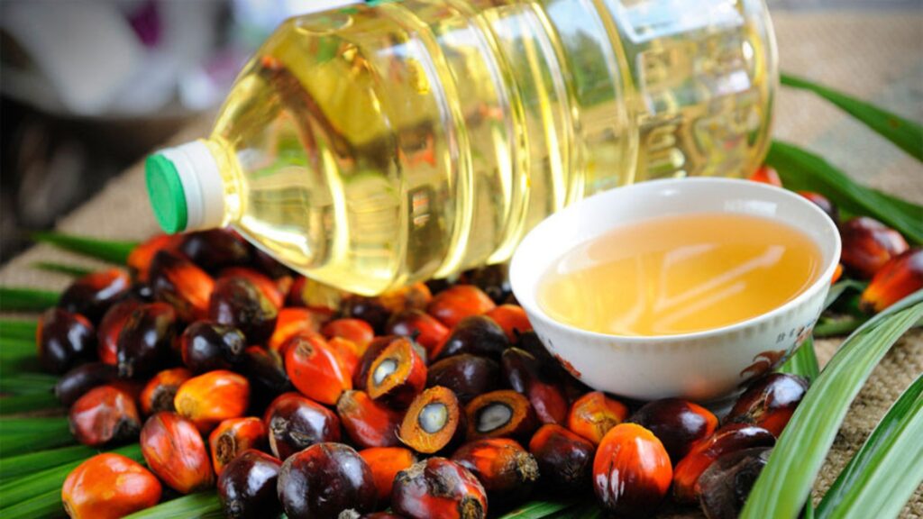 La producción de Aceite de palma es uno de los commodities más importantes a nivel mundial